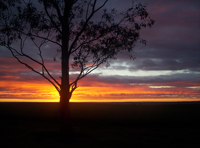 Sunset in the Shire of Cunderdin