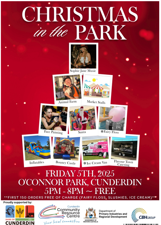Christmas in the Park