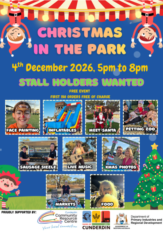 Christmas in the Park