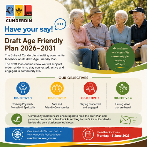 Draft Age Friendly Plan
