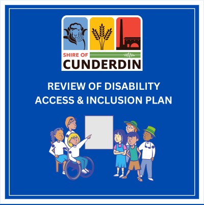 Review of Disability Access and Inclusion Plan